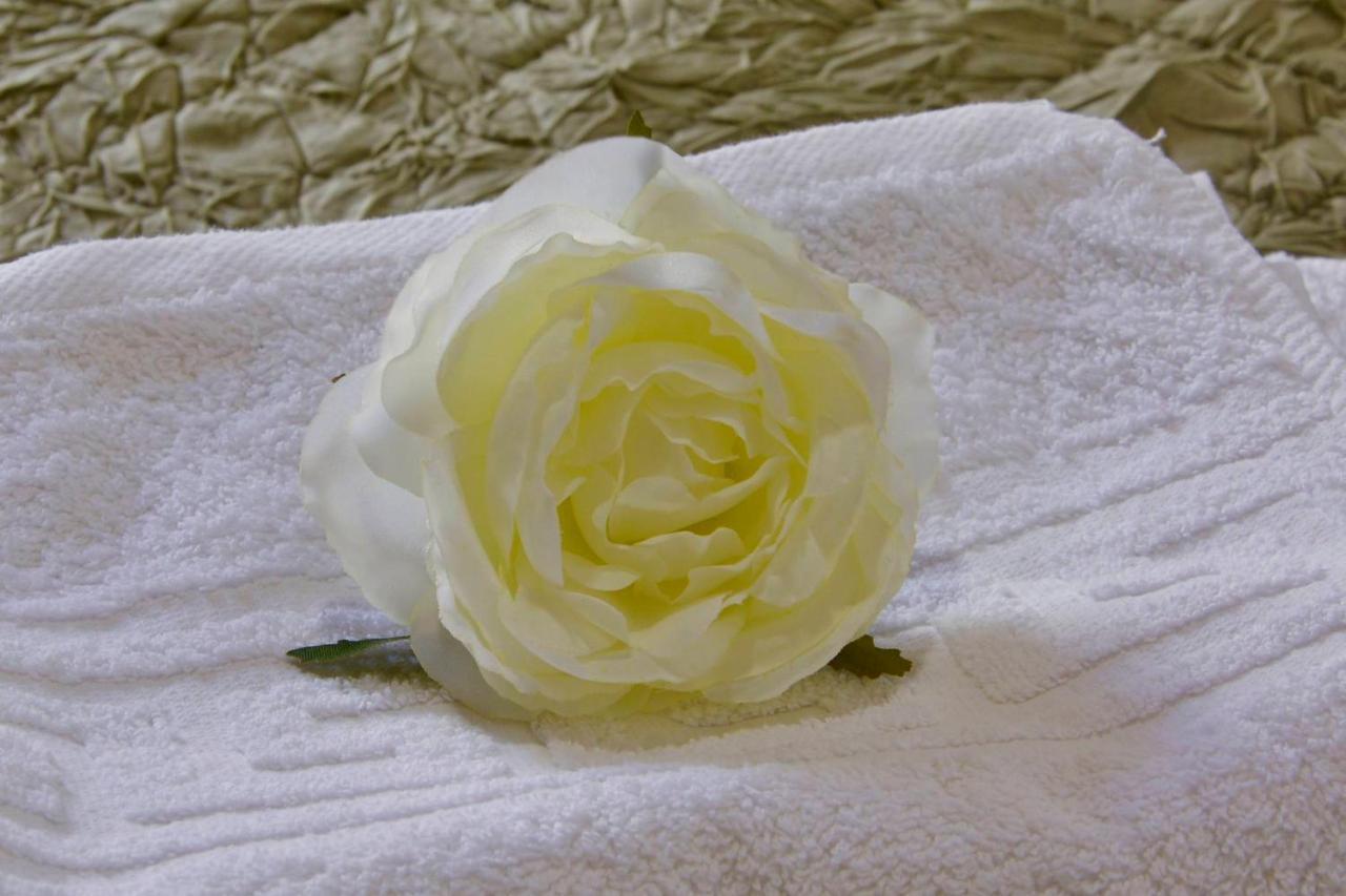Gardenia Suite Corfu Town Εξωτερικό φωτογραφία